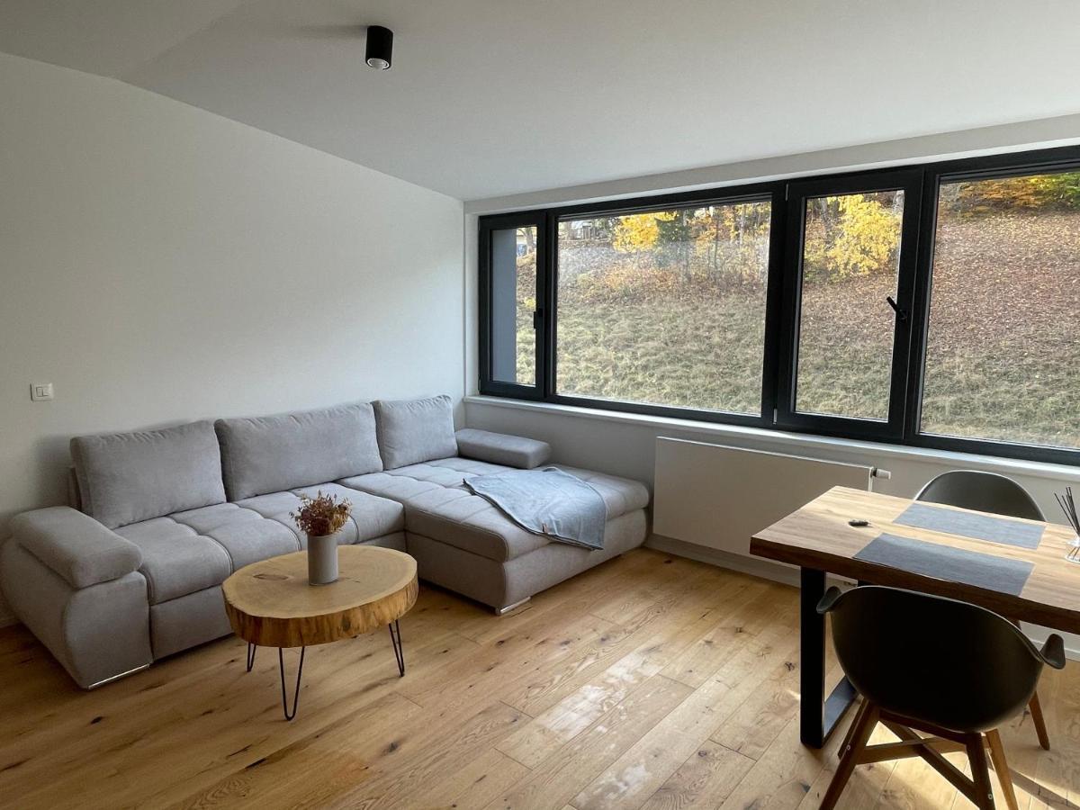 Ski&Bike Horsky Apartman 502 Janske Lazne Εξωτερικό φωτογραφία